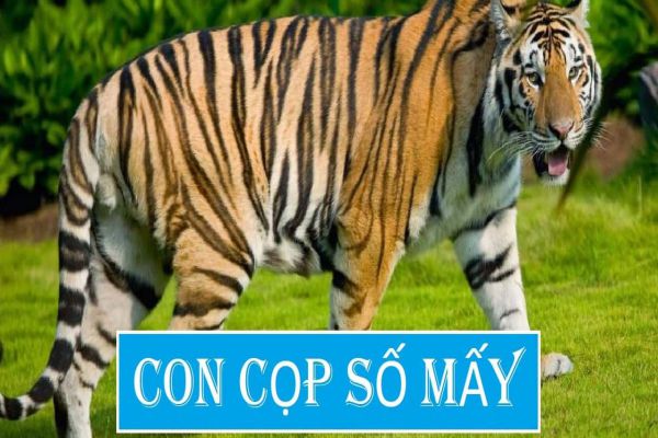 con-cop-so-may