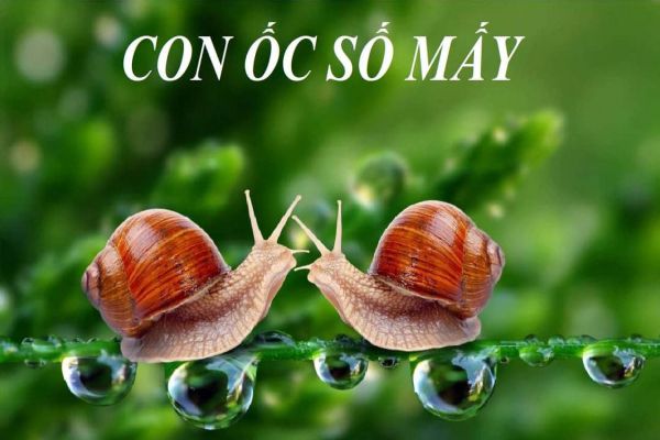 con-oc-so-may